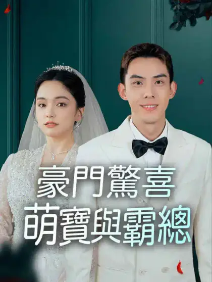 豪門驚喜:萌寶與霸總