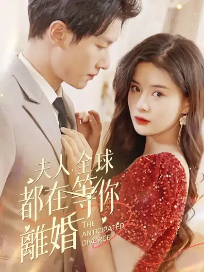 夫人,全球都在等你離婚