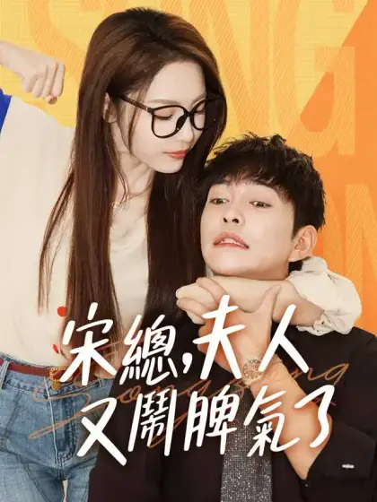 宋總,夫人又鬧脾氣了