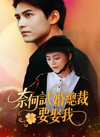 奈何試婚總裁要娶我