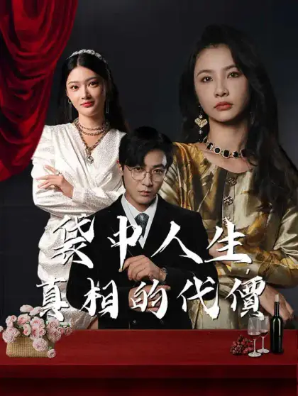 袋中人生:真相的代價