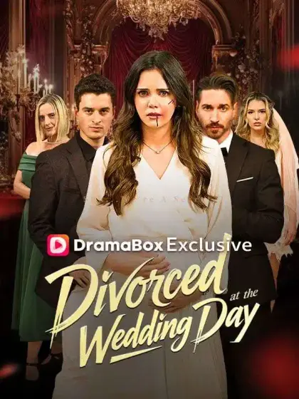 Divorced at the Wedding Day